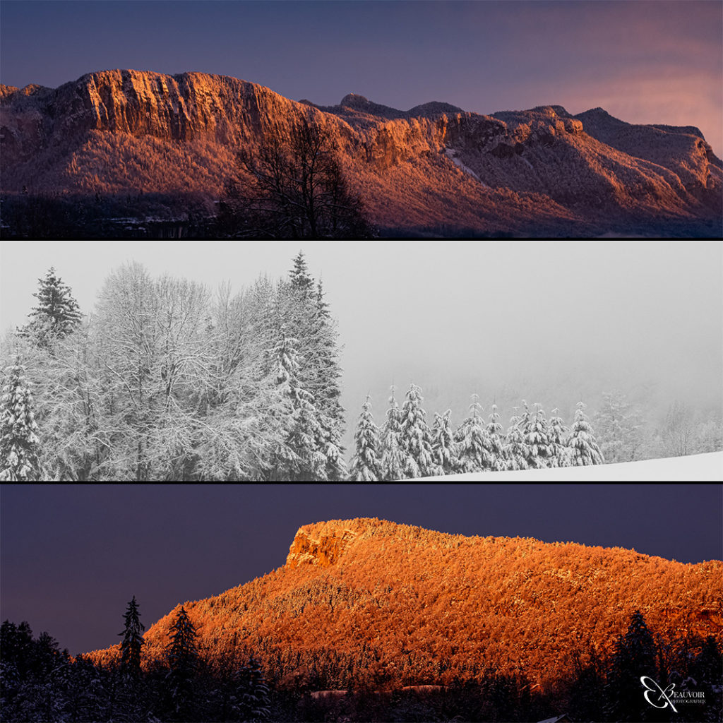 best92020paysage BeauvoirPhotographie Chambery savoie photographefamille nouveaune portrait